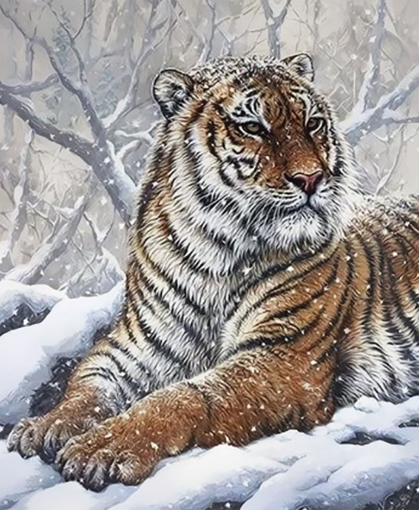 Tigre en el Invierno Pintar por Números
