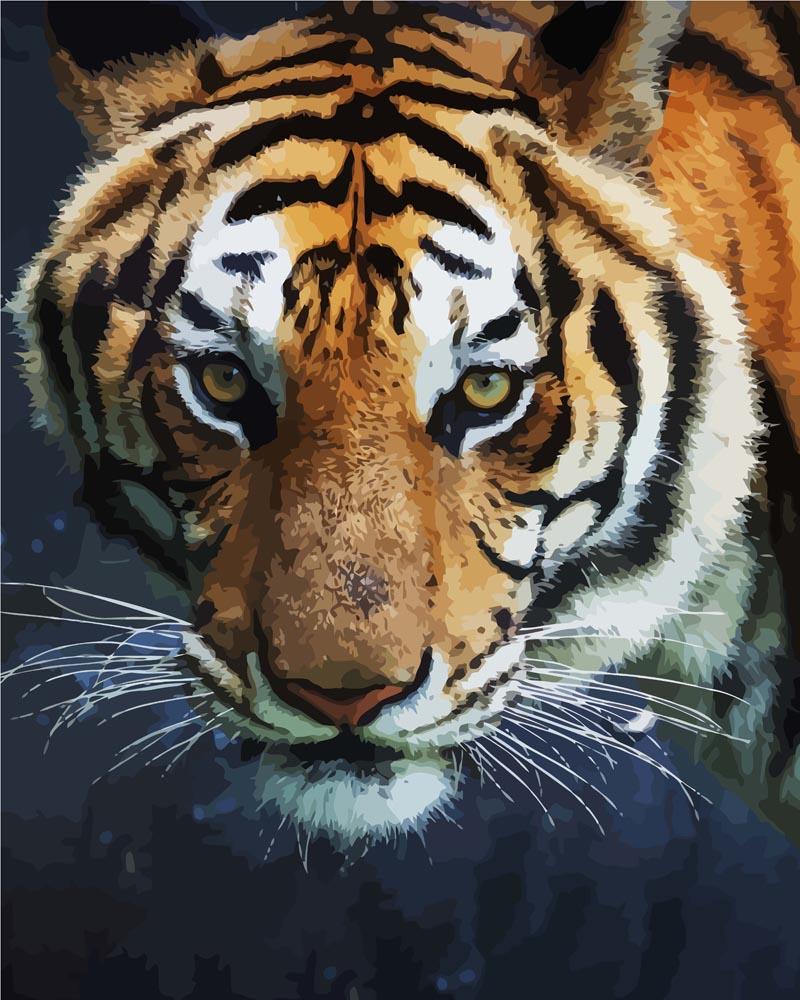 Tigre Mirando hacia Arriba Pintar por Números