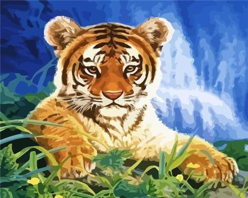Tigre Pequeño en el Césped Pintar por Números