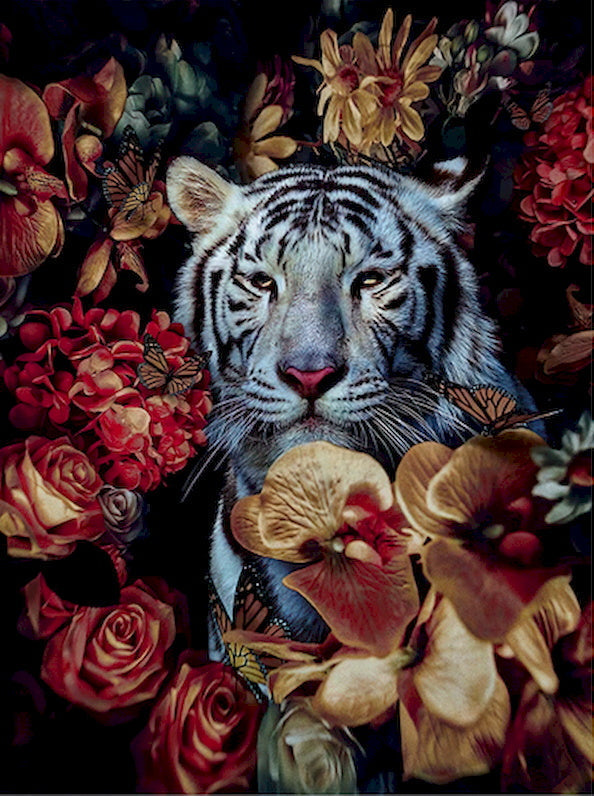 Tigre Rodeado de Flores Rojas Pintar por Números