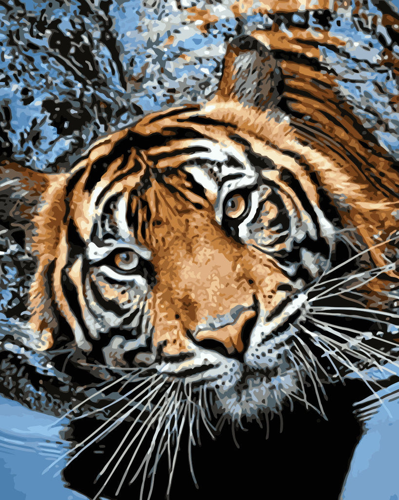 Tigre Saliendo del Agua Pintar por Números