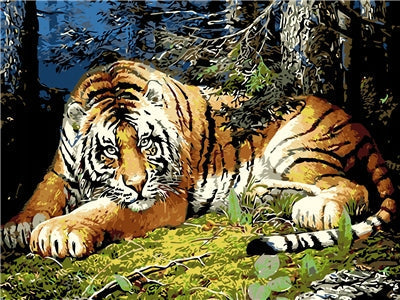 Tigre y Árboles Pintar por Números
