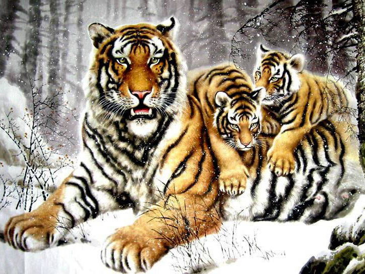 Tigre y Dos Tigritos en Bosque Nevado Pintar por Números