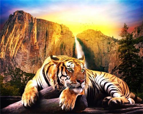 Tigre y Montaña Pintar por Números