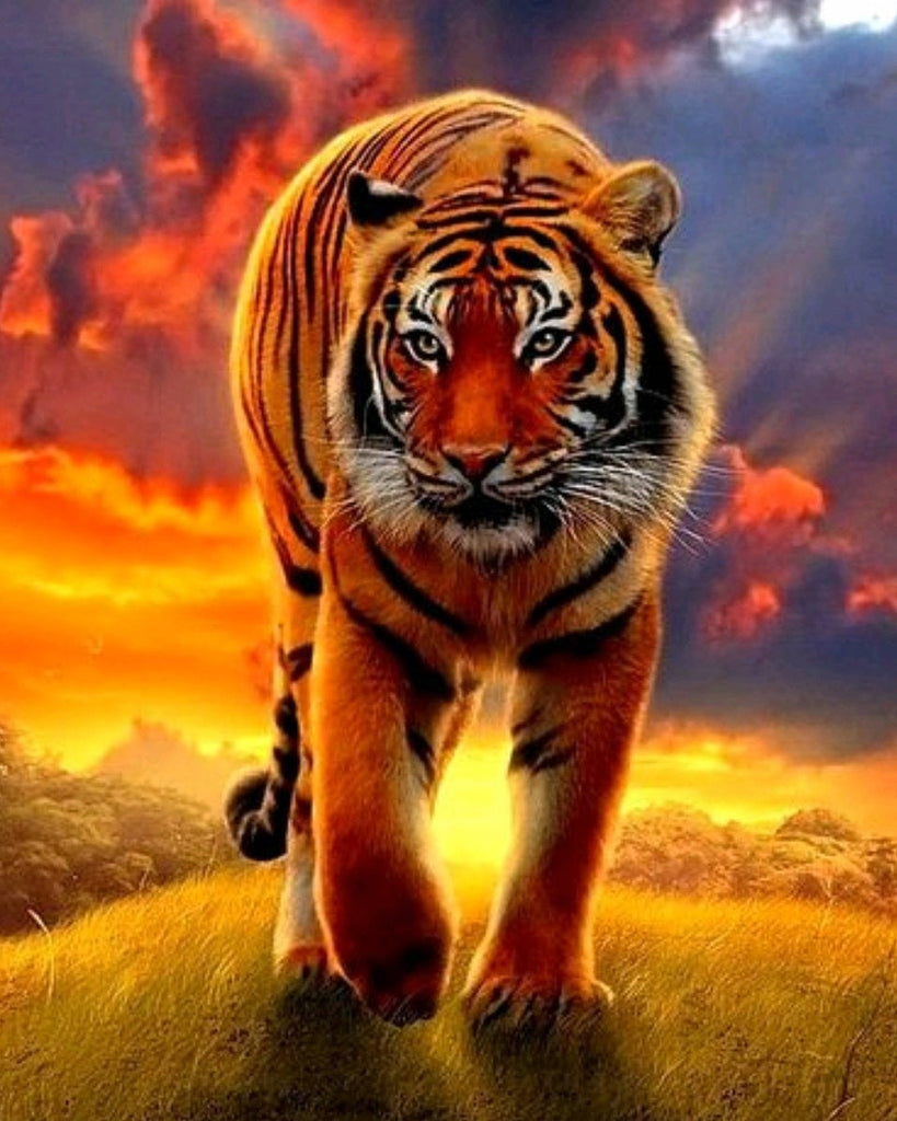 Tigre y Puesta del Sol Pintar por Números