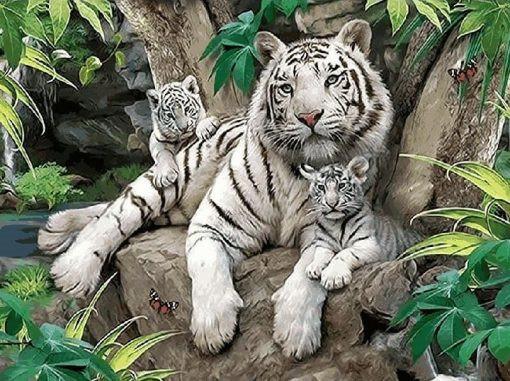 Tigre y Sus Niños sobre Piedra Pintar por Números