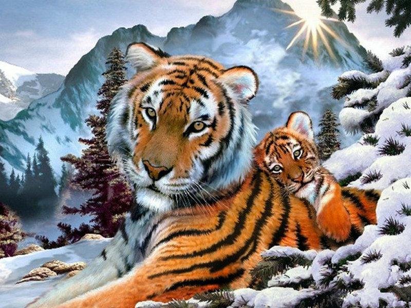 Tigre y Tigrito Pintar por Números