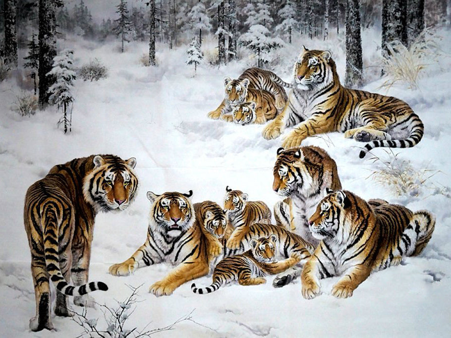 Tigres y Tigritos en Bosque Invernal Pintar por Números