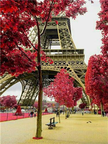 Torre Eiffel y Árboles en Otoño Pintar por Números