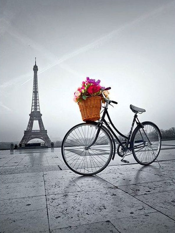 Torre Eiffel y Bicicleta con Flores Pintar por Números