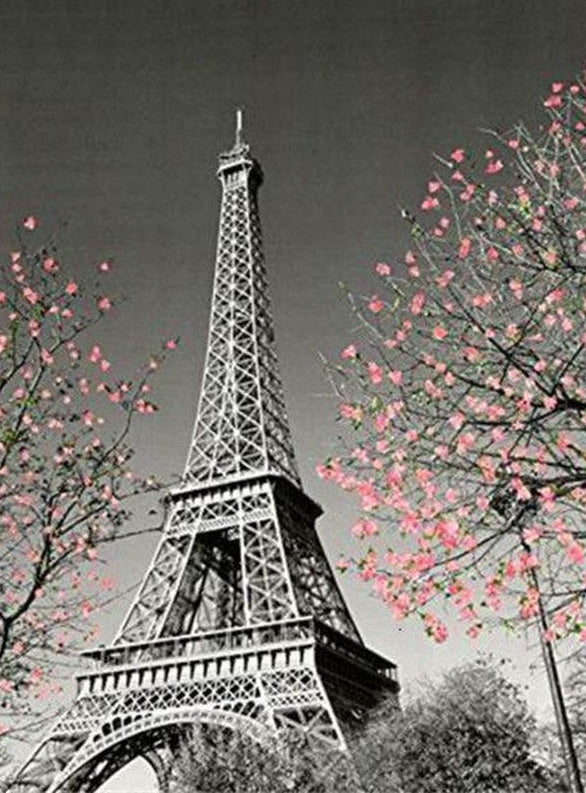 Torre Eiffel y Rama de Flores Rosadas Pintar por Números