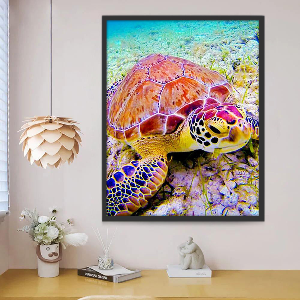 Tortuga Comiendo Algas Pintar por Números