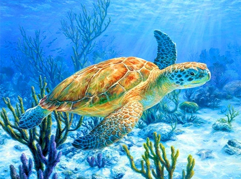 Tortuga Marina Anaranjada Pintar por Números