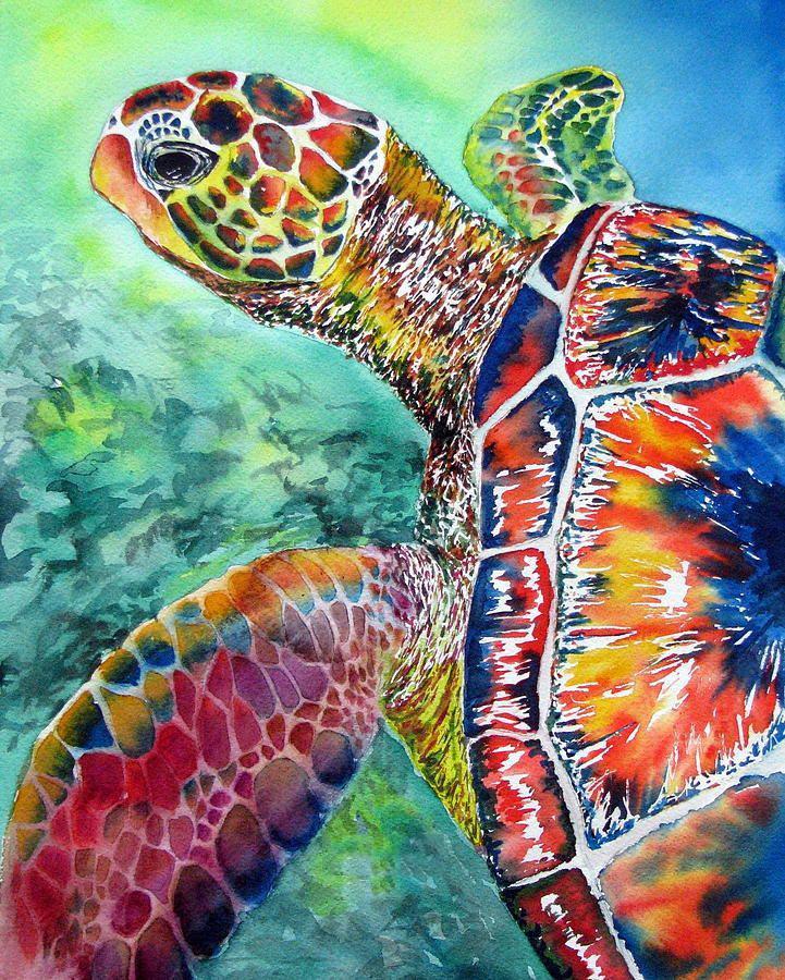 Tortuga Marina de Colores Pintar por Números