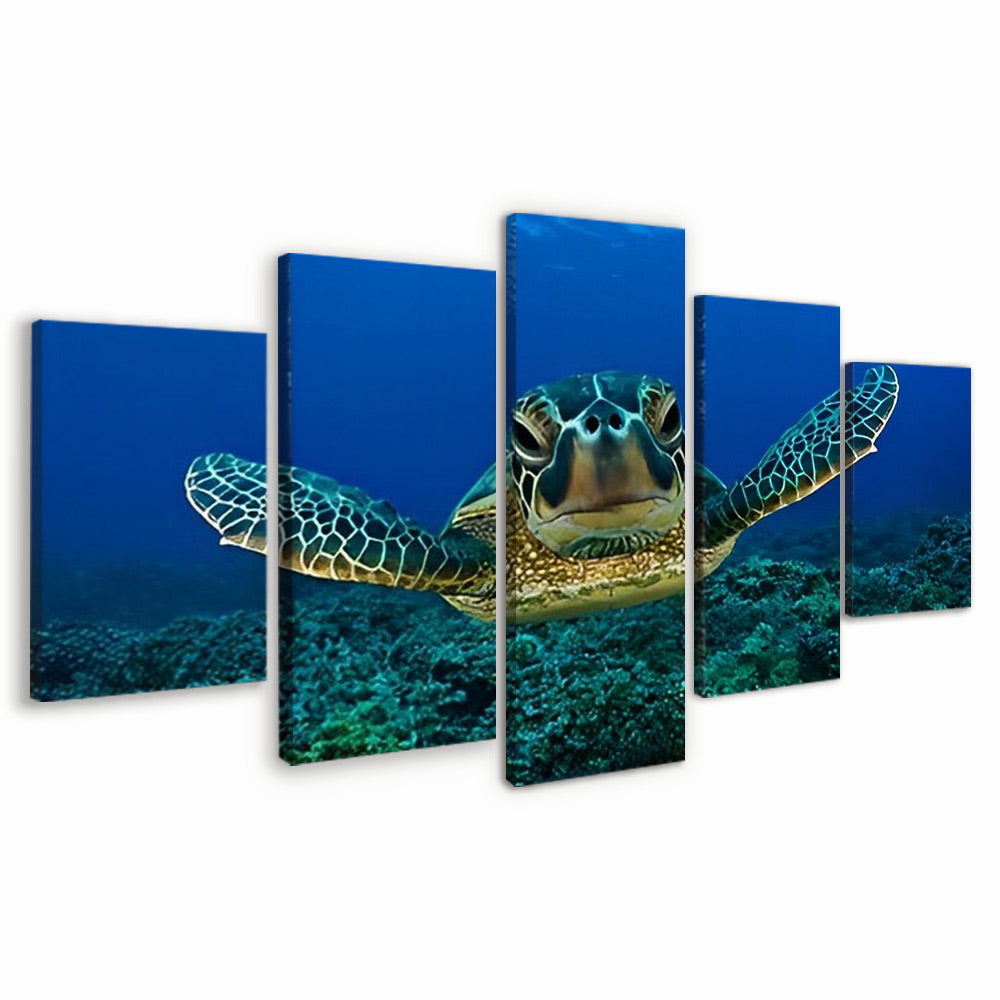 Tortuga Marina y Corales Verdes 5 Partes Pintar por Números