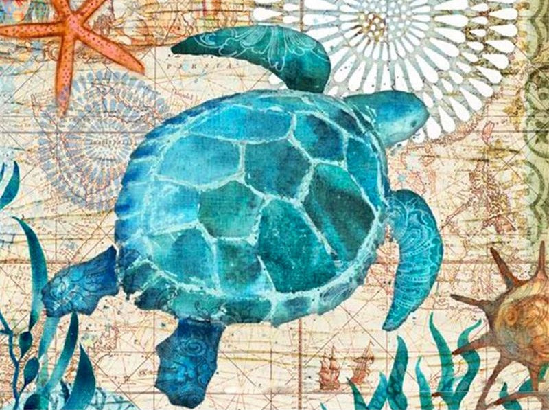 Tortuga Marina y Estrellas de Mar Pintar por Números