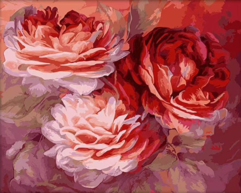 Tres Flores Hermosas de Peonía de Color Rosado Pintar por Números