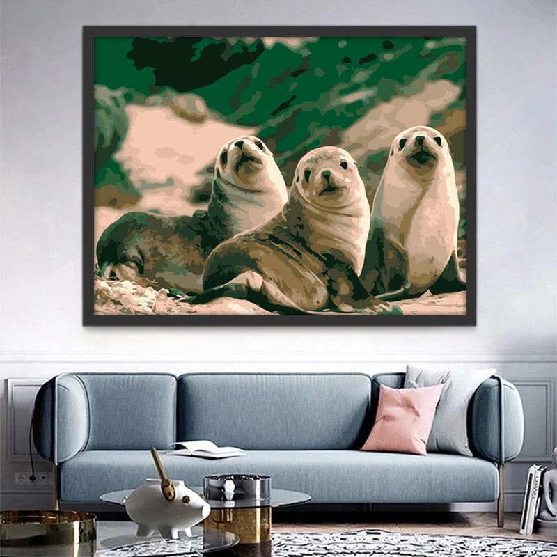 Tres Focas Adorables Pequeñas Pintar por Números