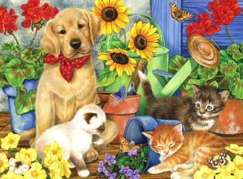 Tres Gatos y Un Perro y Macetas de Flores Pintar por Números