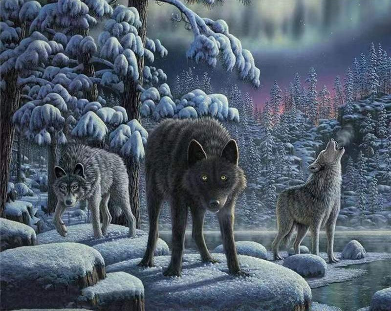Tres Lobos en Bosque Nevado Pintar por Números