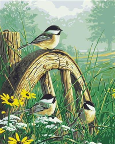 Tres Pajaritos Lindos en Césped Pintar por Números
