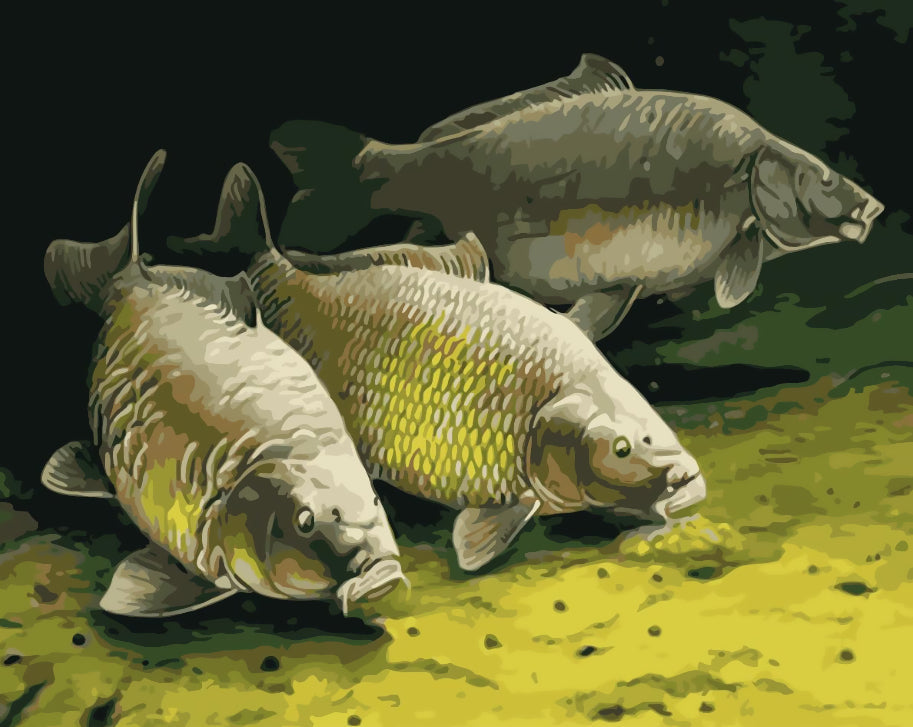 Tres Peces en Arena Submarina Pintar por Números