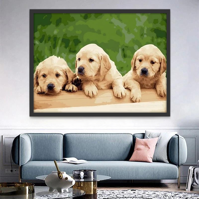 Tres Perritos Adorables Pintar por Números
