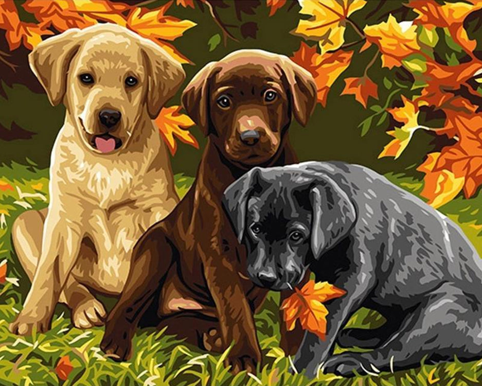 Tres Perros en el Césped Pintar por Números