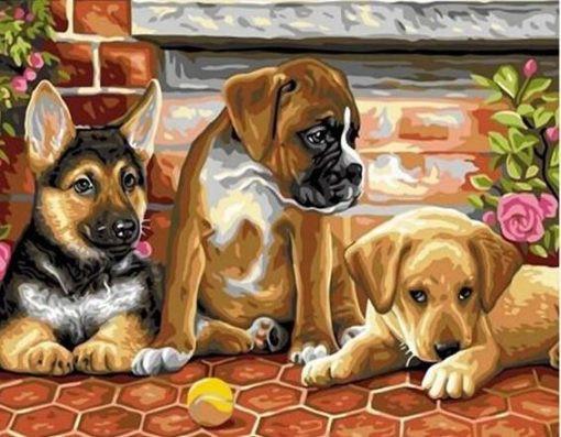 Tres Perros Jugando la Pelota Pintar por Números