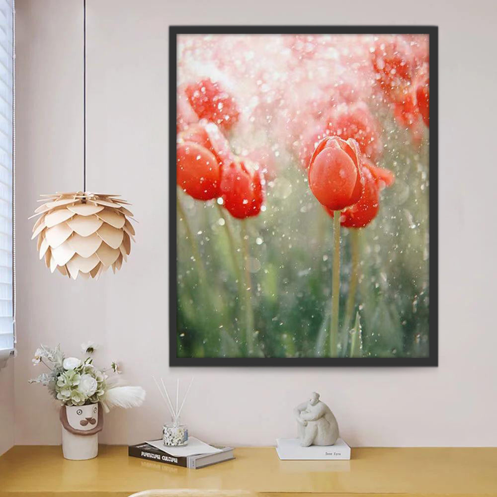 Tulipán de Color Rojo de Cerca en la Lluvia Pintar por Números