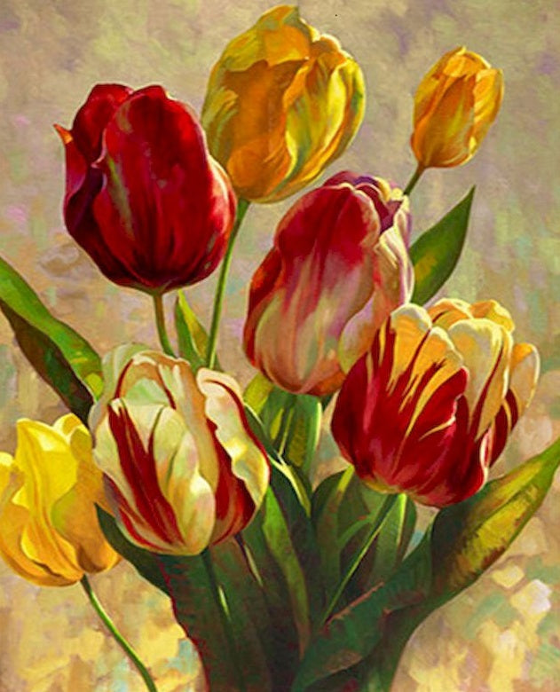 Tulipán Hermoso de Color Rojo y Amarillo Pintar por Números