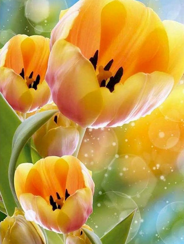 Tulipanes Amarillos con Estambres Negros Pintar por Números