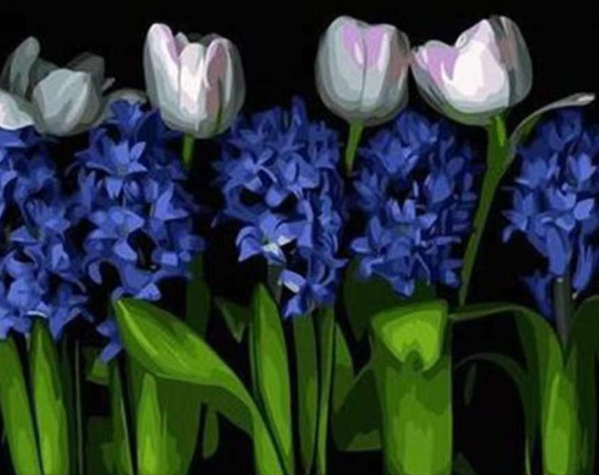Tulipanes Blancos y Los Jacintos Morados Pintar por Números