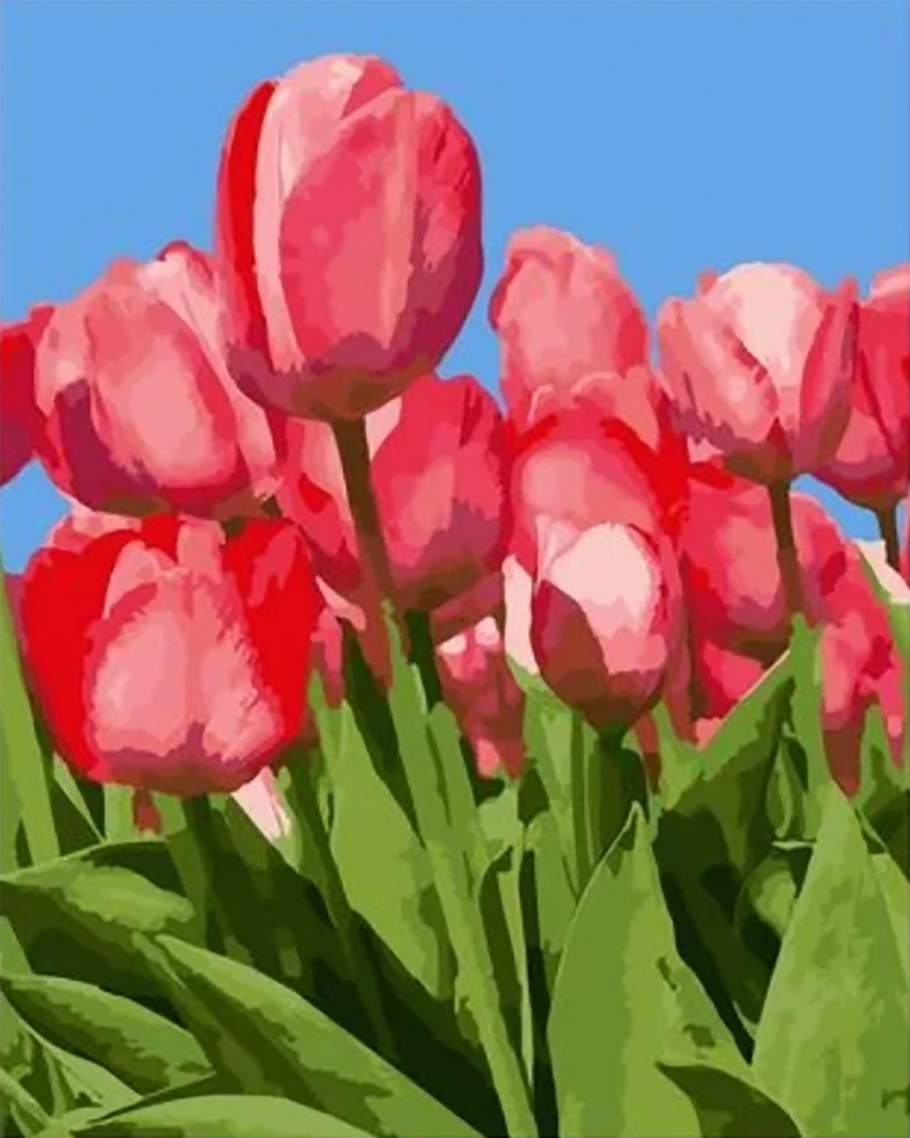 Tulipanes de Color Rojo con Hojas Verdes Pintar por Números