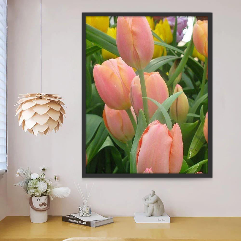 Tulipanes de Color Rosado Claro de Cerca Pintar por Números