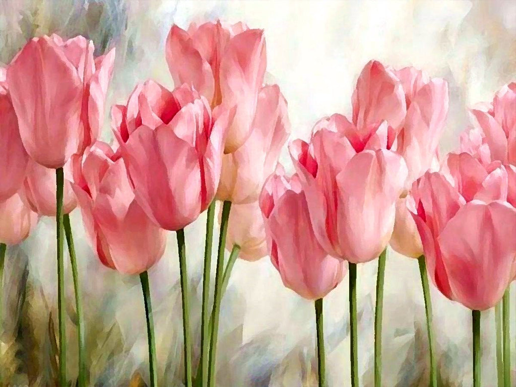 Tulipanes de Color Rosado en el Fondo Difuso Pintar por Números