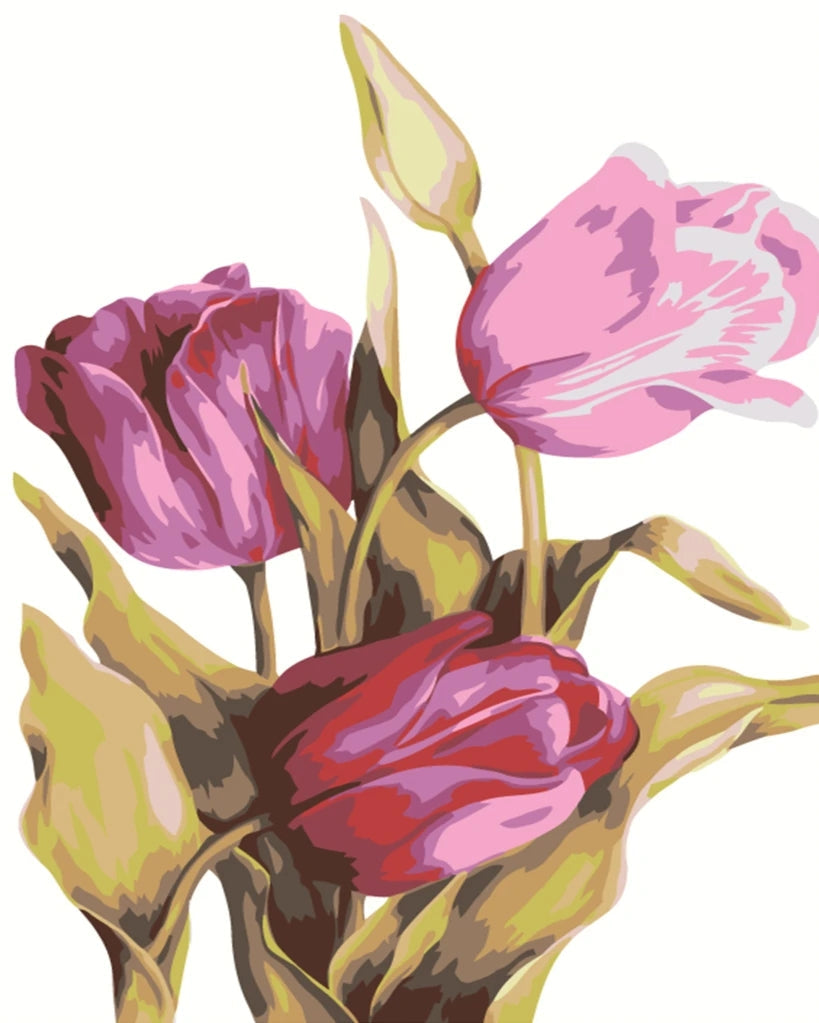 Tulipanes Morados con el Fondo Blanco Pintar por Números