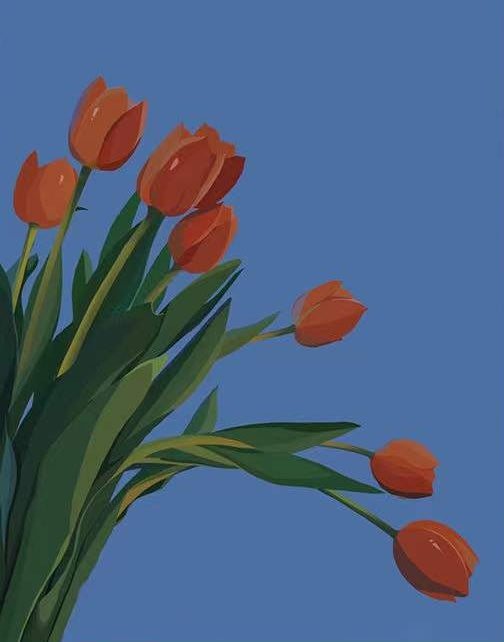 Tulipanes Rojos con Fondo de Color Azul Pintar por Números
