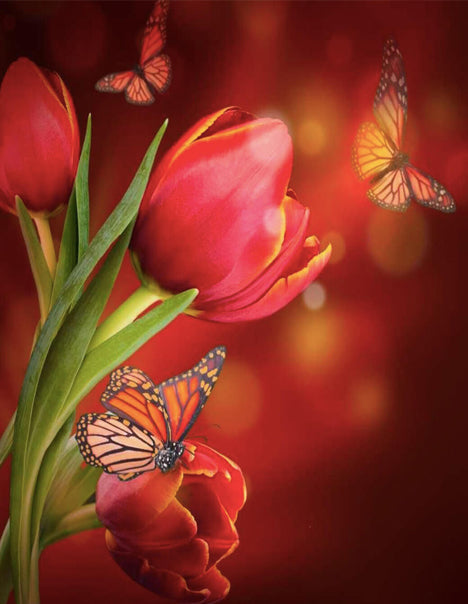 Tulipanes Rojos Rodeados de Mariposas Pintar por Números