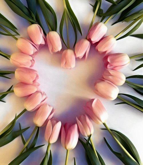 Tulipanes Rosados Dispuestos en Forma de Corazón Pintar por Números