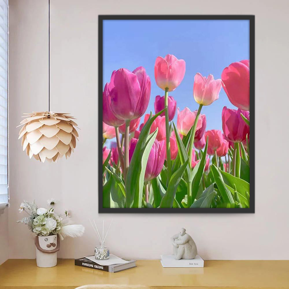 Tulipanes Rosados Mirando al Cielo Azul Pintar por Números