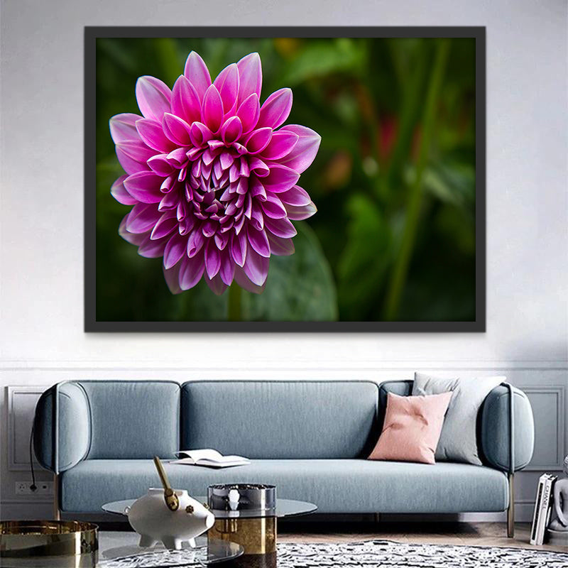 Un Crisantemo Hermoso Morado con Fondo Verde Pintar por Números