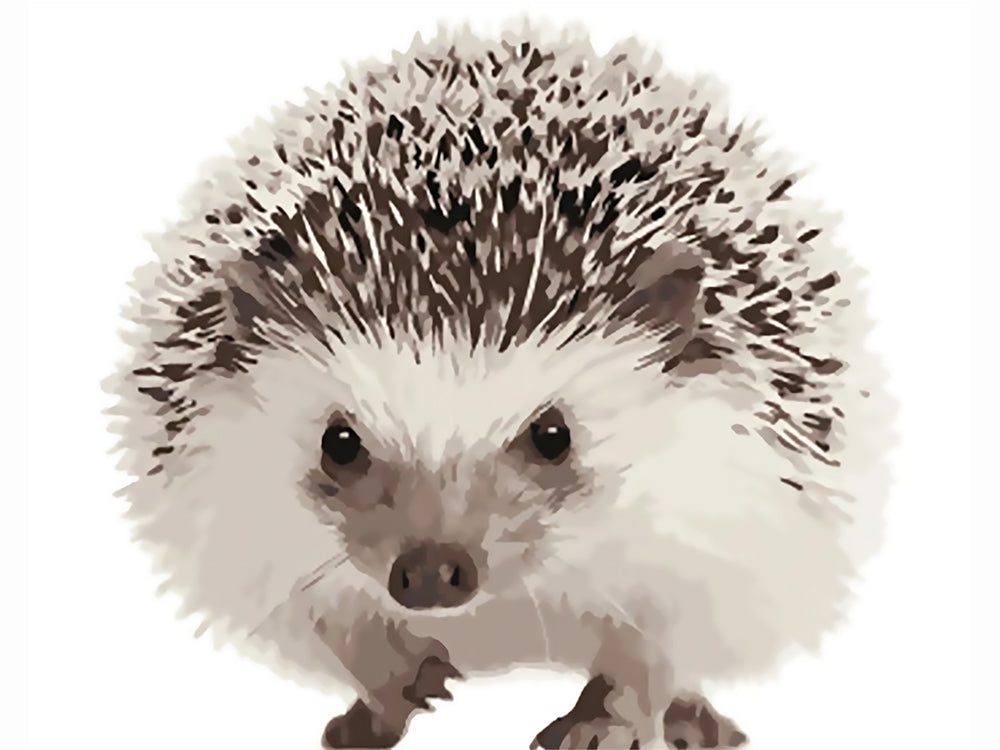 Un Erizo Adorable Pintar por Números