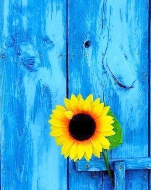 Un Girasol con Fondo de Textura de Madera Azul Pintar por Números
