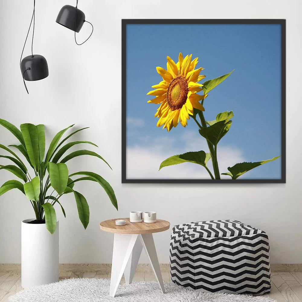 Un Girasol en el Fondo de Cielo Azul Pintar por Números