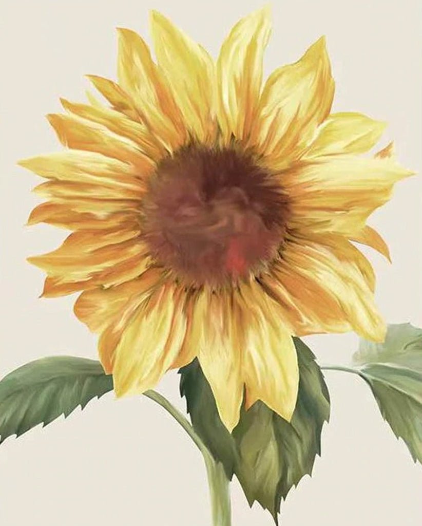 Un Girasol Floreciente Hermoso Pintar por Números