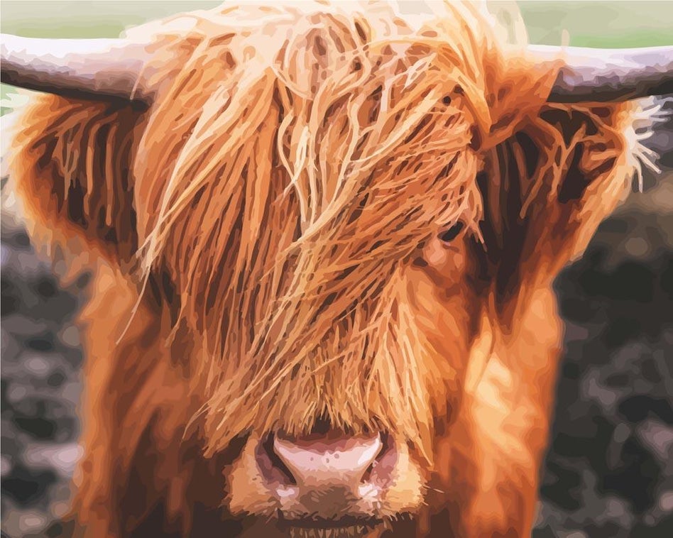 Un Yak Marrón Pintar por Números