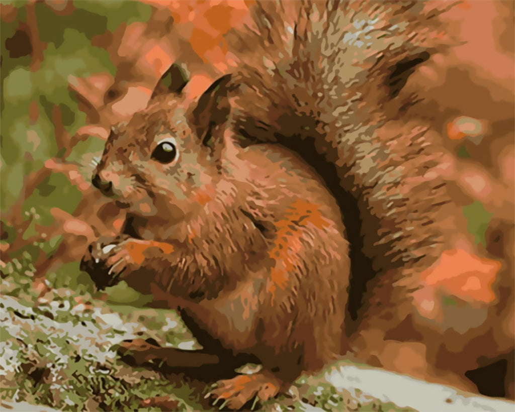 Una Ardilla Linda y Cono de Pino Pintar por Números
