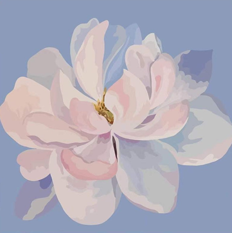 Una Flor con Pétalos Blancos en el Fondo Azul Claro Pintar por Números