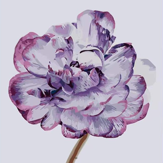 Una Flor de Pétalos Morados y Blancos Pintar por Números